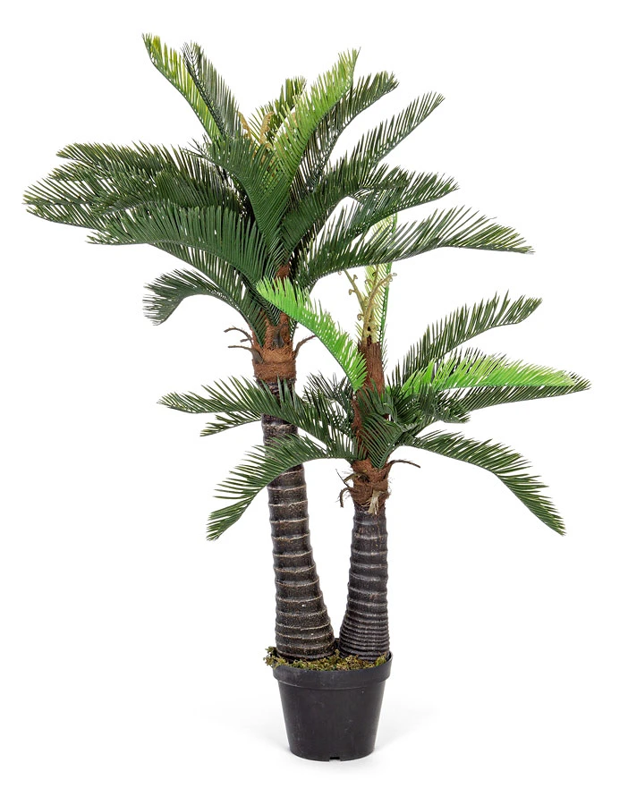 comprar PLANTA PALMA CON MACETERO 36HOJ 2TR H150 online de BIZZOTTO desde 194,93 €