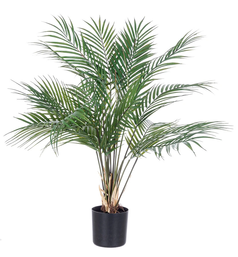 comprar PLANTAkENZIA CON MACETEROETA 18HOJAS H72 online de BIZZOTTO desde 51,18 €