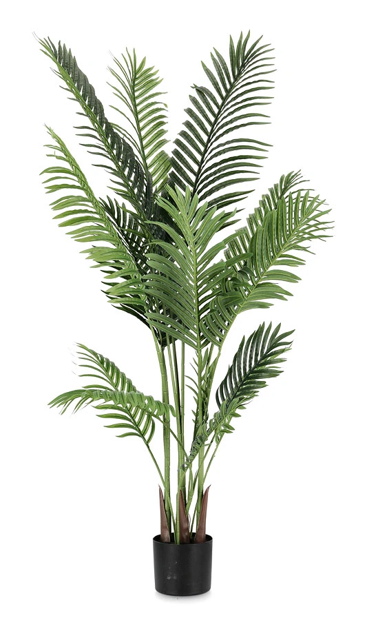 comprar PLANTAkENZIA CON MACETERO 15HOJAS H140 online de BIZZOTTO desde 87,12 €