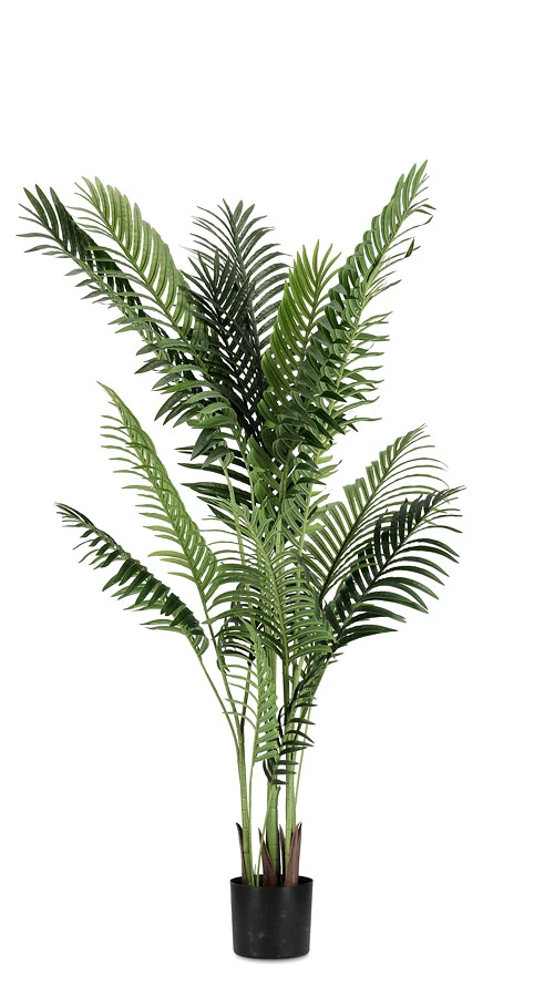 comprar PLANTAkENZIA CON MACETERO 17HOJAS H160 online de BIZZOTTO desde 128,50 €
