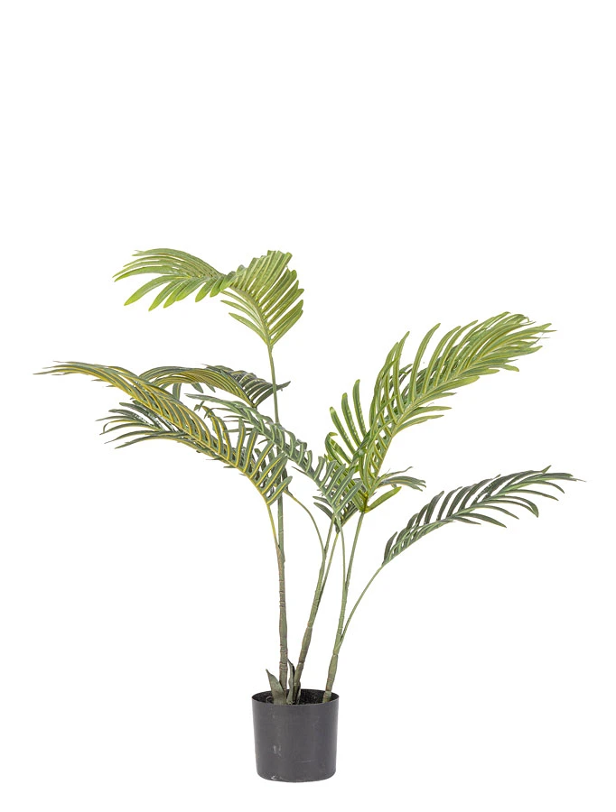 comprar PLANTAkENZIA CON MACETERO 9HOJAS H80 online de BIZZOTTO desde 34,85 €