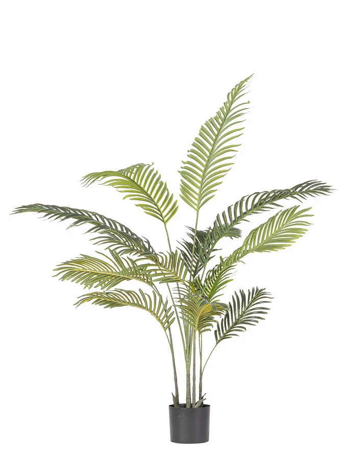 comprar PLANTAkENZIA CON MACETERO 14HOJAS H120 online de BIZZOTTO desde 68,61 €