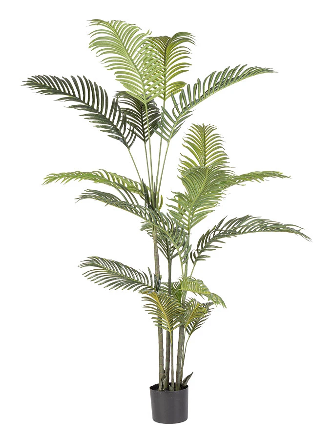 comprar PLANTAkENZIA CON MACETERO 18HOJAS H180 online de BIZZOTTO desde 116,52 €