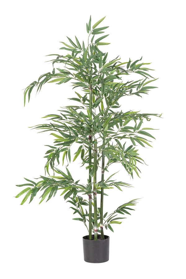comprar PLANTA BAMBÚ CON MACETERO H130 online de BIZZOTTO desde 52,27 €