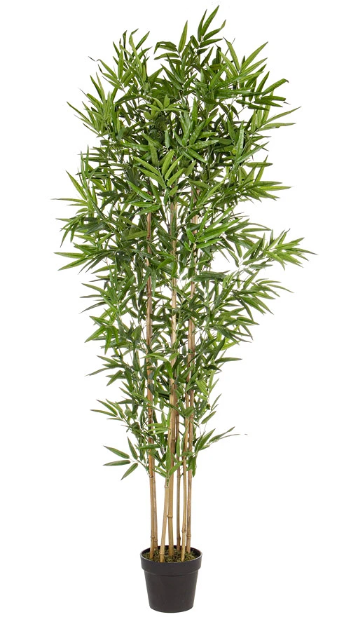 comprar PLANTA BAMBÚ CON MACETERO H185CM online de BIZZOTTO desde 185,13 €