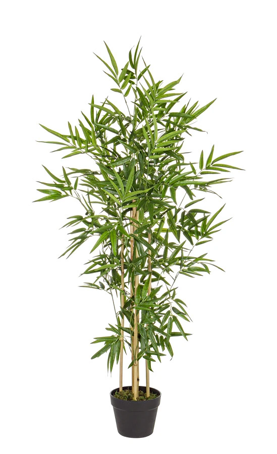 comprar PLANTA BAMBÚ CON MACETERO H130CM online de BIZZOTTO desde 102,37 €
