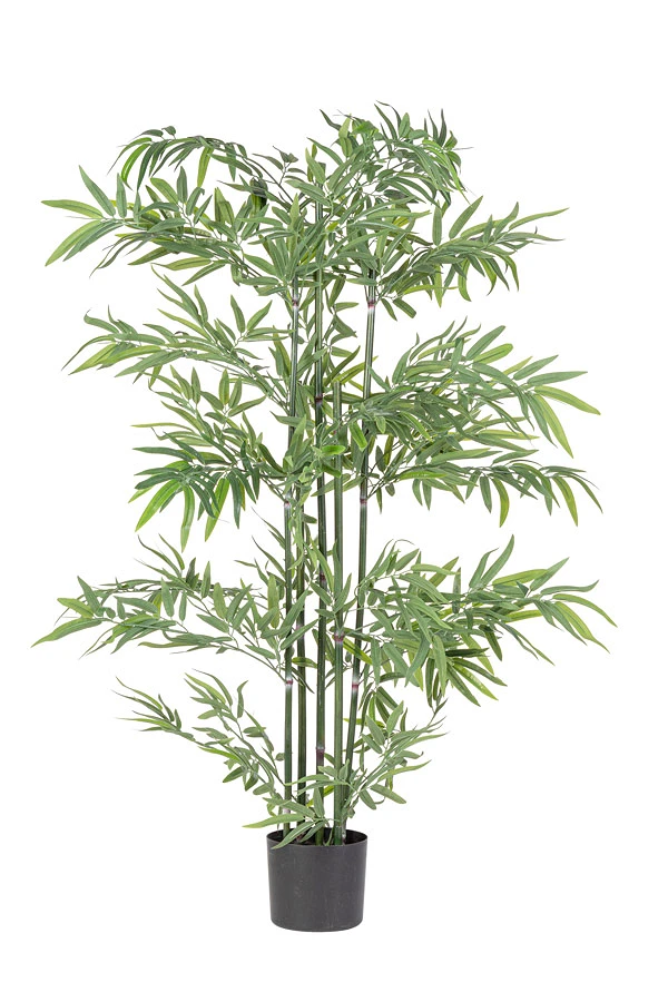 comprar PLANTA BAMBÚ CON MACETERO H150 online de BIZZOTTO desde 77,32 €