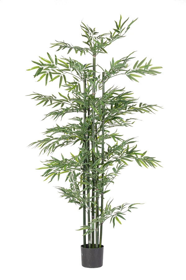 comprar PLANTA BAMBÚ CON MACETERO H190 online de BIZZOTTO desde 94,74 €