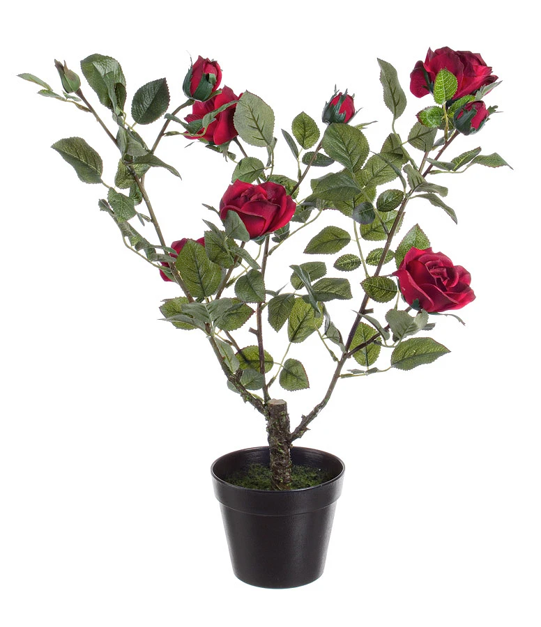 comprar FLORERO ROSA ISABEL X5F+3B ROJO online de BIZZOTTO desde 35,72 €