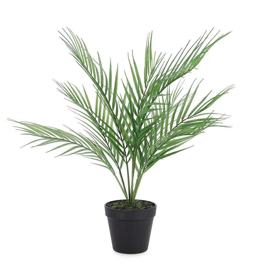 comprar PLANTA PALMA CON MACETERO 8HOJAS H58CM online de BIZZOTTO desde 28,10 €
