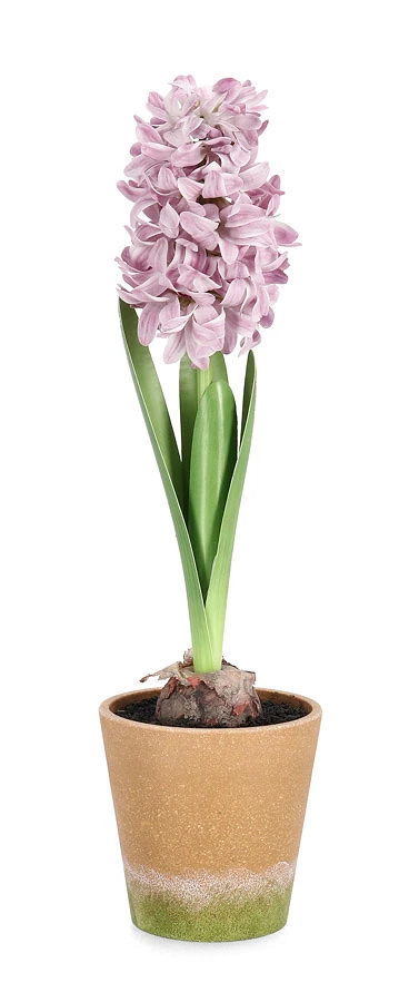 comprar PLANTA JACINTO CON MACETERO ROSA H52CM online de BIZZOTTO desde 33,32 €