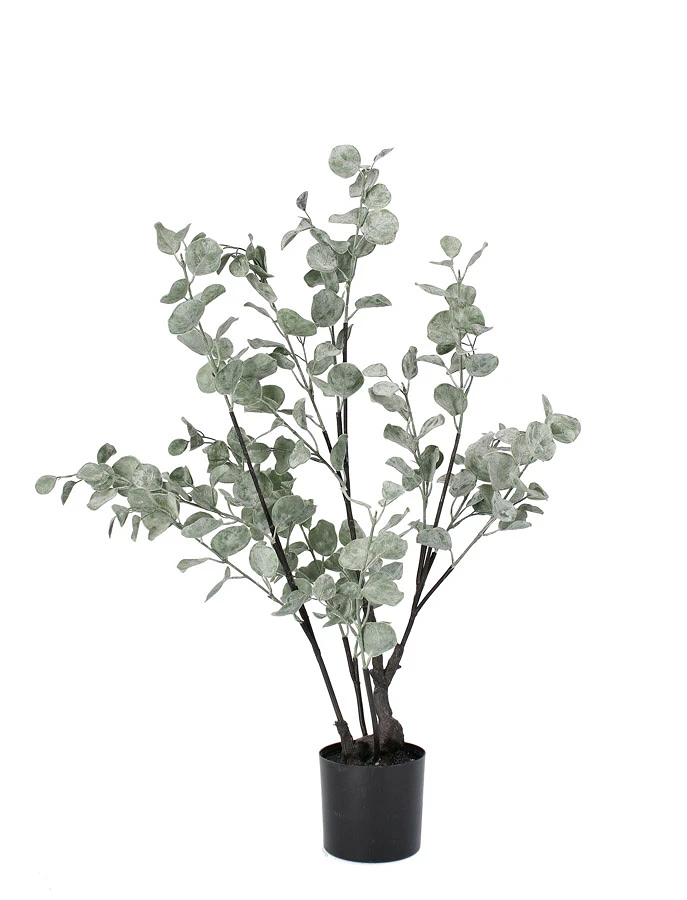 comprar PLANTA EUCALIPTO CON MACETERO H82 online de BIZZOTTO desde 47,92 €