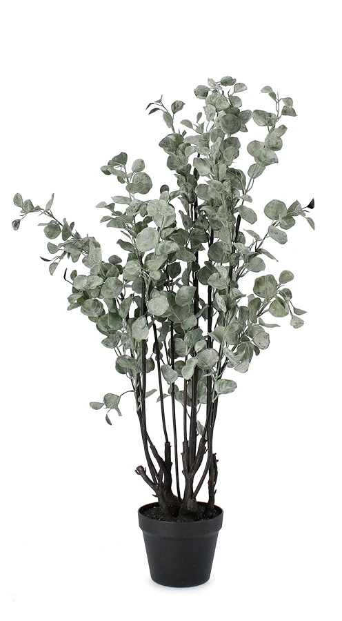 comprar PLANTA EUCALIPTO CON MACETERO H110 online de BIZZOTTO desde 92,57 €