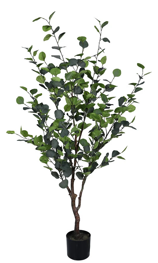 comprar PLANTA EUCALIPTO CON MACETERO H150 online de BIZZOTTO desde 84,94 €