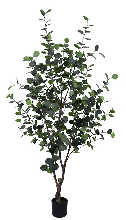 comprar PLANTA EUCALIPTO CON MACETERO H180 online de BIZZOTTO desde 118,70 €