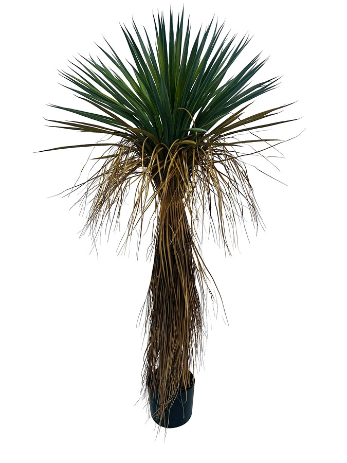 comprar PLANTA YkKA ROSTATA CON MACETERO H120 online de BIZZOTTO desde 131,77 €