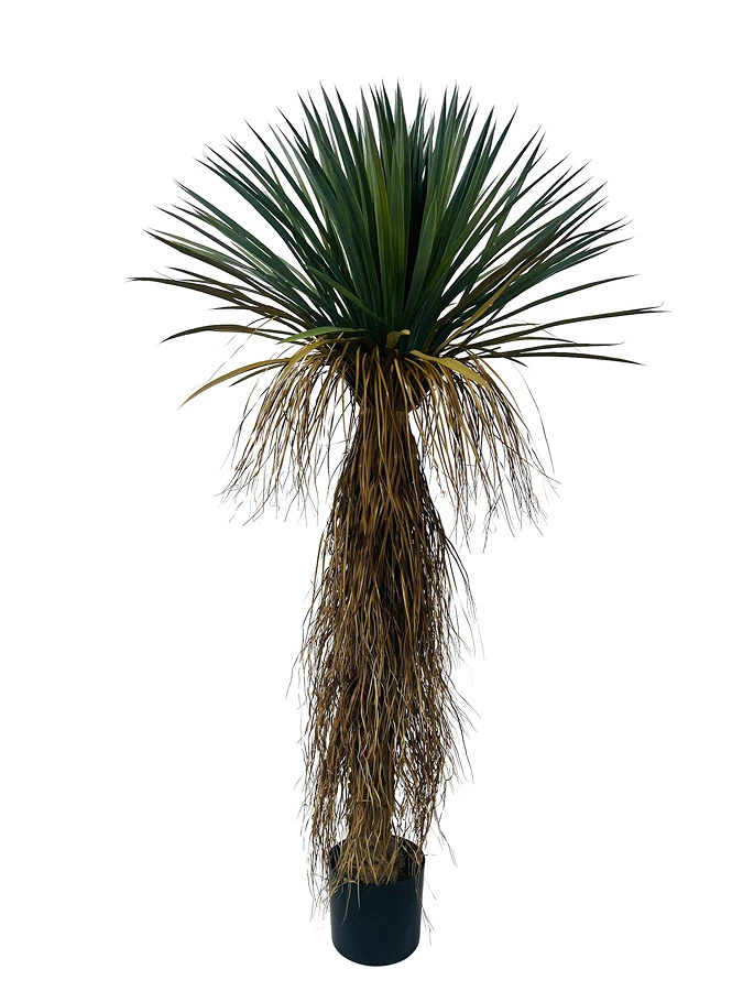 comprar PLANTA YkKA ROSTATA CON MACETERO H150 online de BIZZOTTO desde 188,40 €