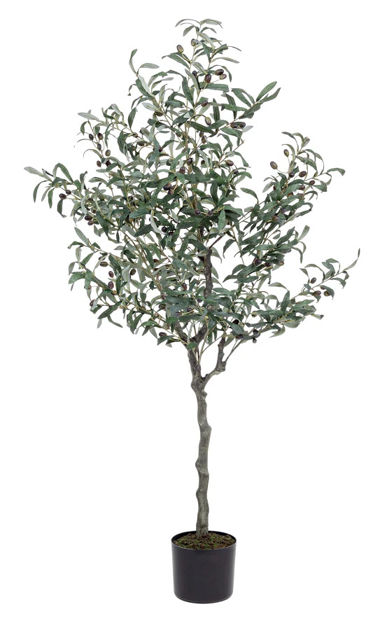 comprar PLANTA OLIVO CON MACETERO 984HOJ H150 online de BIZZOTTO desde 204,73 €