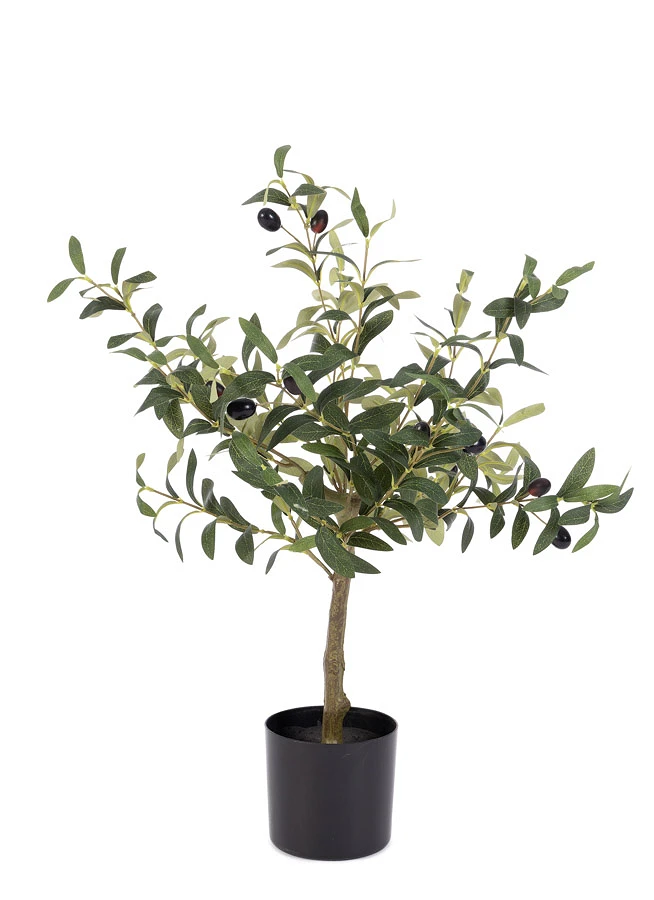 comprar PLANTA OLIVO CON MACETERO H65 online de BIZZOTTO desde 26,14 €