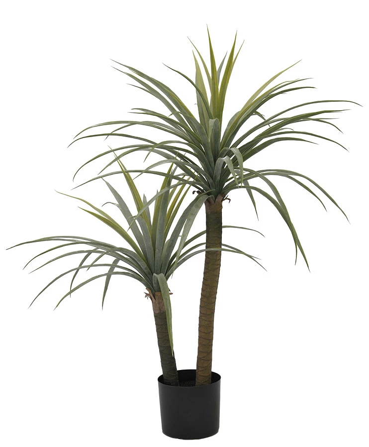 comprar PLANTA DRACAENA CON MACETERO H110 online de BIZZOTTO desde 53,36 €