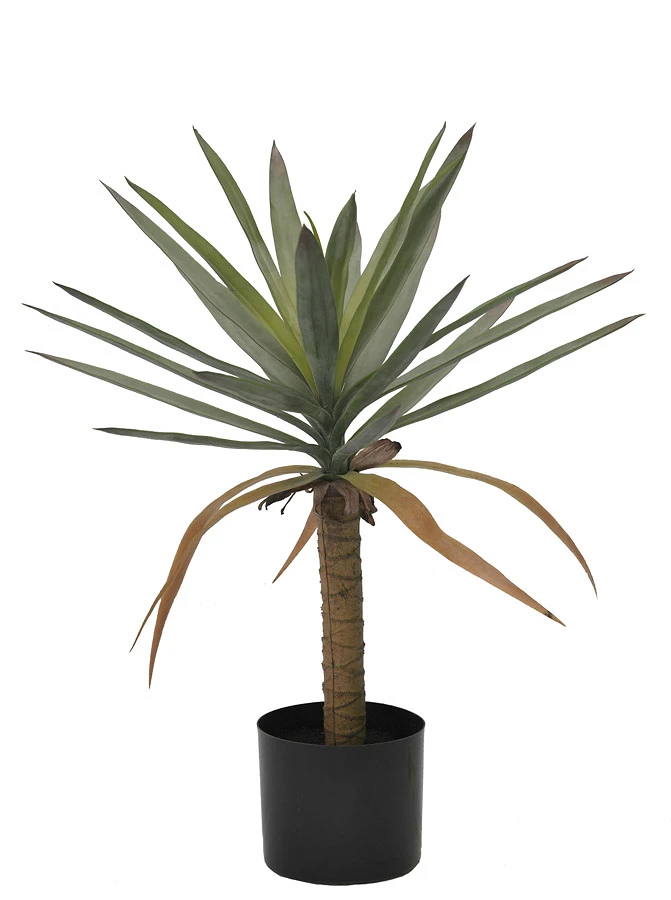 comprar PLANTA DRACAENA CON MACETERO H62 online de BIZZOTTO desde 29,84 €