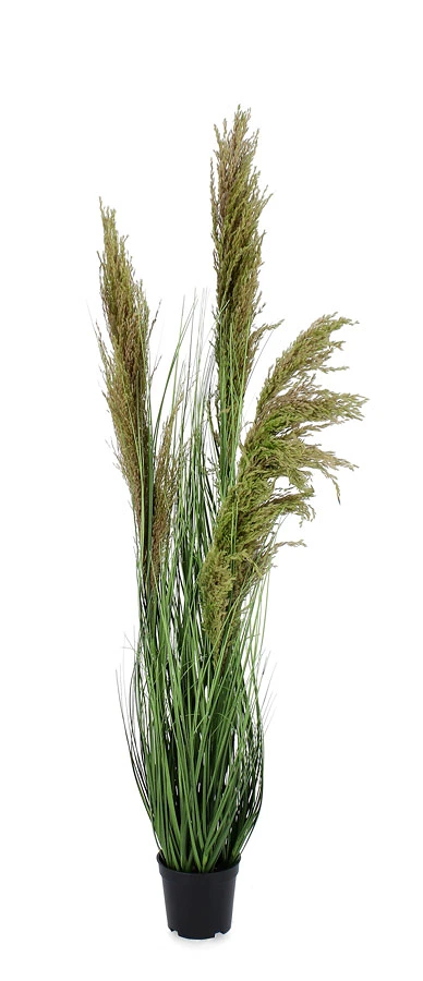 comprar PLANTA CARINE PAMPAS VERD MAR C-MA H96,5 online de BIZZOTTO desde 39,42 €