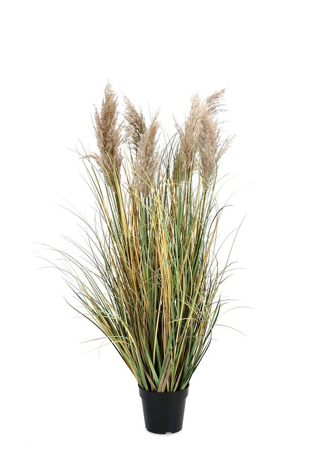 comprar PLANTA GYNERIUM PAMPAS CON MACETERO H120 online de BIZZOTTO desde 90,39 €