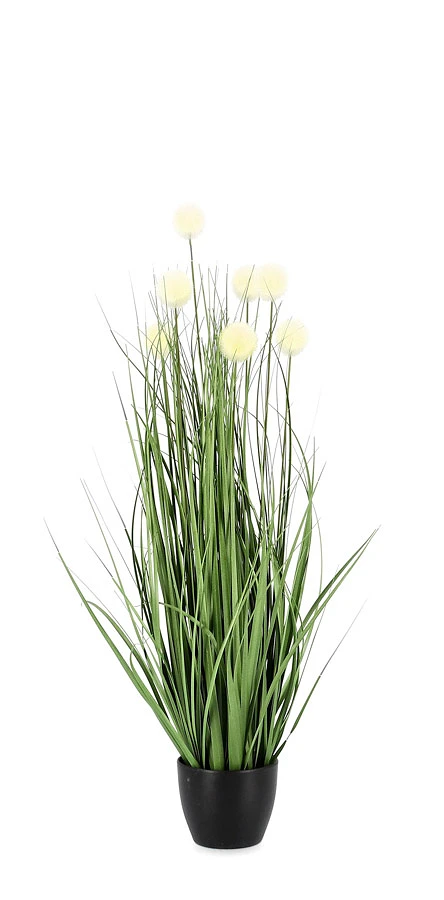 comprar PLANTA ERIOPHORUM BLANCO CON MACETEROET X7F H68 online de BIZZOTTO desde 23,52 €