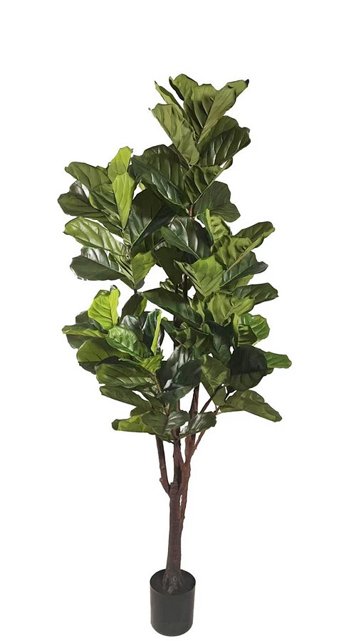 comprar PLANTA FICUS LYRATA CON MACETERO 102HOJAS H220 online de BIZZOTTO desde 265,72 €