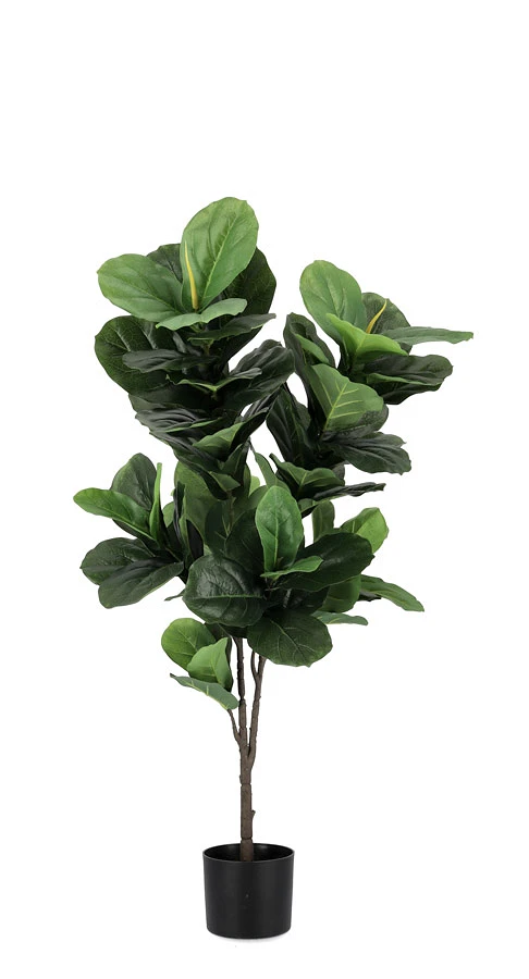comprar PLANTA FICUS LYRATA CON MACETERO 72HOJAS H120 online de BIZZOTTO desde 71,87 €