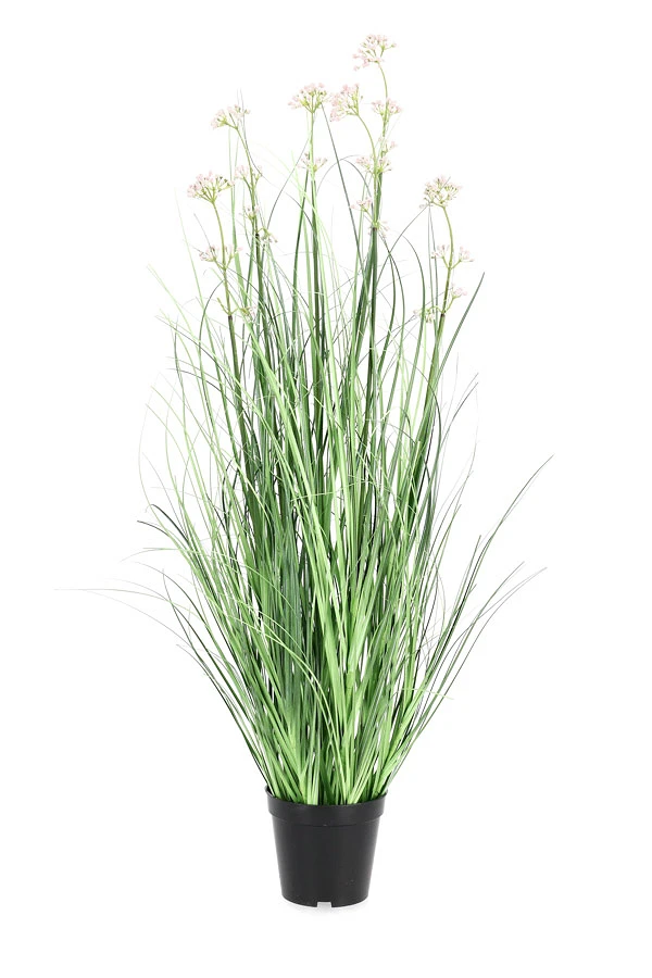 comprar PLANTA ALLIUM CON MACETERO H90 online de BIZZOTTO desde 39,42 €