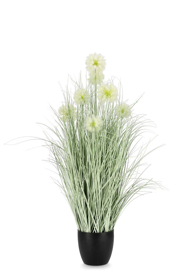 comprar PLANTA CEBOLLA BLANCO CON MACETEROET X7F H105 online de BIZZOTTO desde 78,41 €