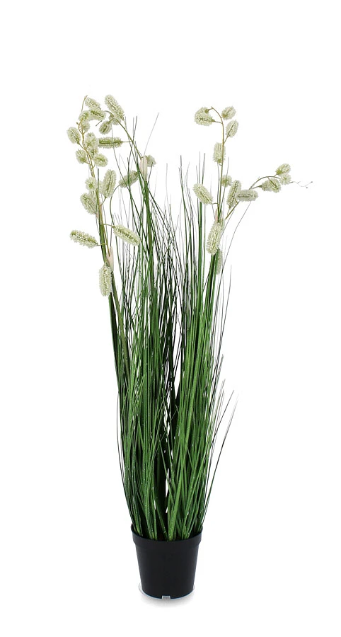 comprar PLANTA GREVILLEA BLANCO CON MACETEROET X5F H100 online de BIZZOTTO desde 58,81 €