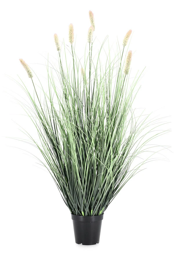 comprar PLANTA PENNISETUM CON MACETERO H90 online de BIZZOTTO desde 44,65 €