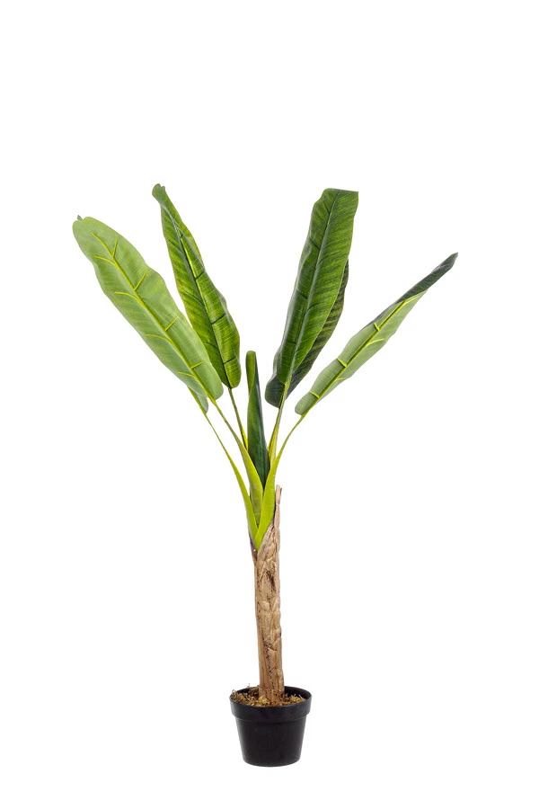 comprar PLANTA BANANO CON MACETERO 7HOJ H113CM online de BIZZOTTO desde 68,61 €