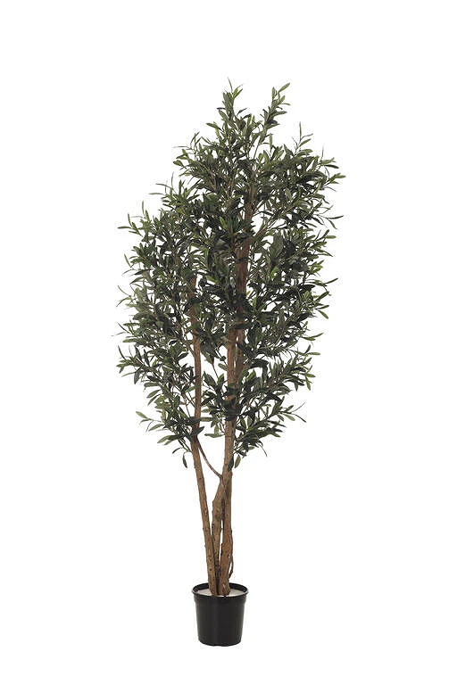comprar Fb Arbol Olivo online de desde 234,43 €