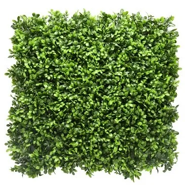 comprar Jardín vertical | Murraya online de desde 110,84 €