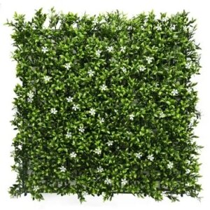 comprar Jardín vertical | Aptenia + White Flower online de desde 77,20 €