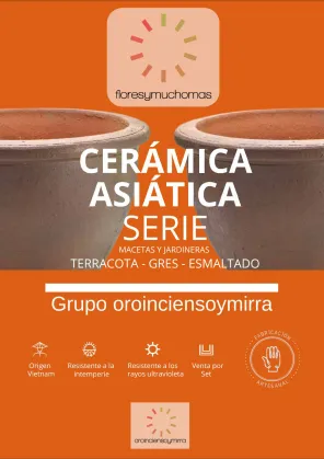 Cerámica asiática